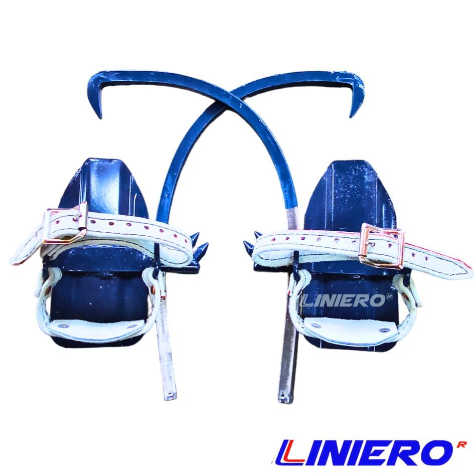 TREPADERA CORREA DOBLE ALMA ROJA